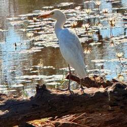 Angler bei der Arbeit 😅