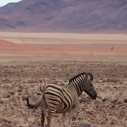 Und garned scheu diesmal! 🥰