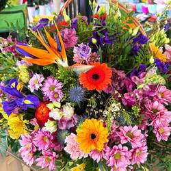 Leider keinen Platz gefunden im Wohnmobil 🙈.