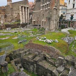 The Forum of Nerva