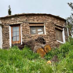 Casa Walhalla and part of the chestnut tree that came down in the storm