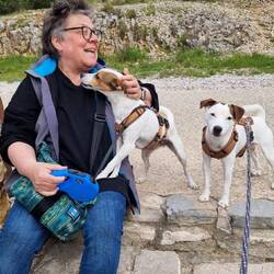 Louie und seine Knutschattacken