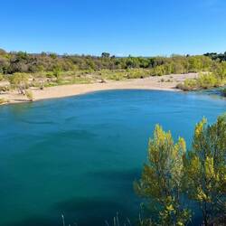 Am Strand ist Hundeverbot 😕