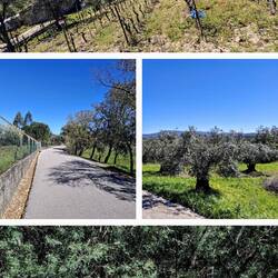 Foto's van Justus onderweg