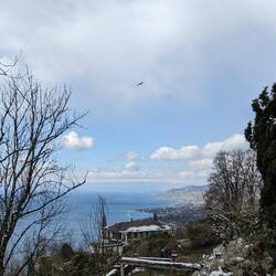 Ausblick auf den Genfer See von Glion