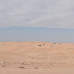 Sahara