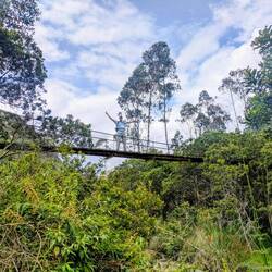 Auch bei dieser Brücke vertrauen wir den lokalen Ingenieuren
