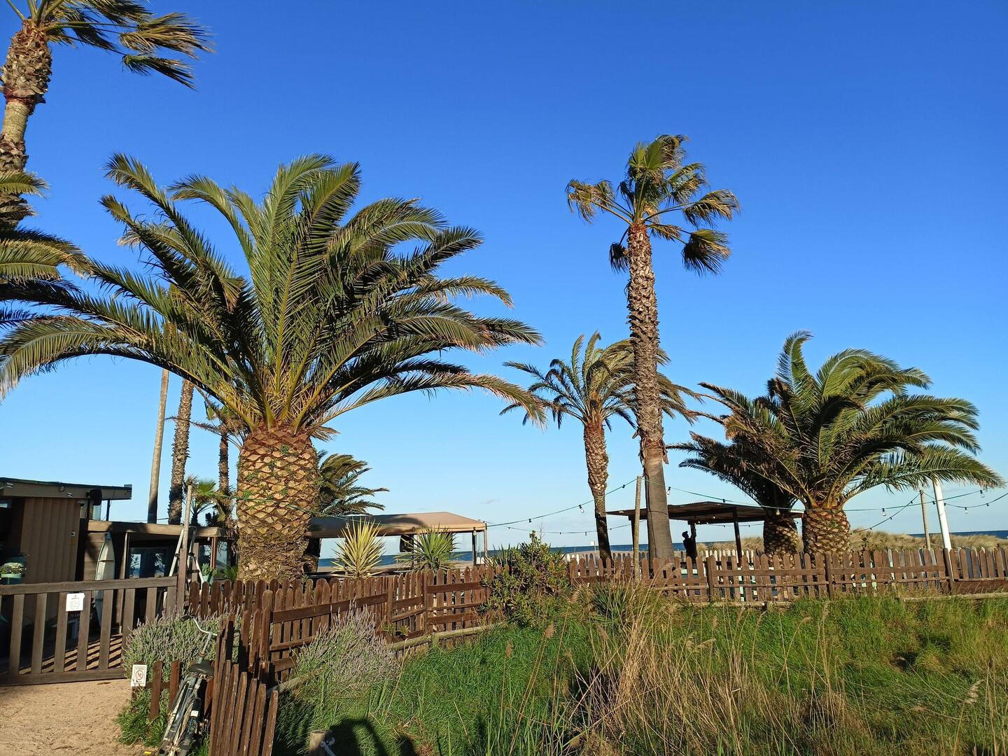 Diese Bar wir erst morgen eröffnet