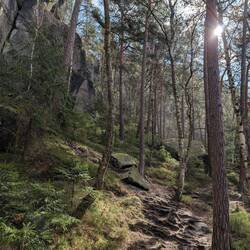 Mit Sonnenschein aber nur 3°C 🥶
