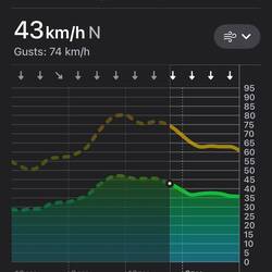 This goes on for at least 8 days!