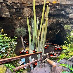 Oberer Teil der Höhle