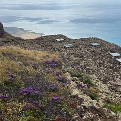 Blick von oberer Terrasse