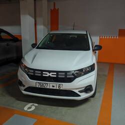 Unser Begleiter für die nächsten 14 Tage 🚘