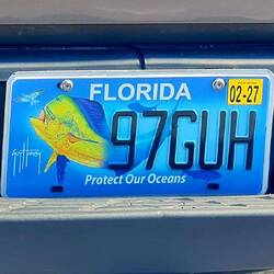 Texas-Mississippi-Alabama-Florida