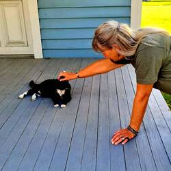 Wieder mal ein Pelz streicheln