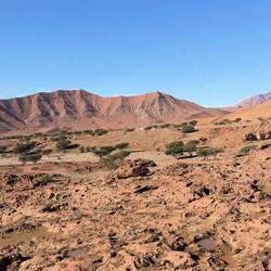 Einfach den Geräuschen gefolgt 😅