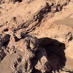 Der geschlängelt Freund! 😅