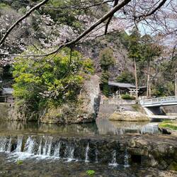 Al fondo se ve Tennen temple