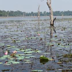 Had to cross this waterway to get to the pools