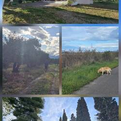 Eine kleine Erkundungstour 🚶‍♀️🚶‍♂️🐕‍🦺 ....