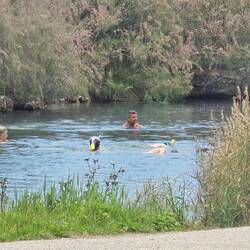 Hatten heute Wetterglück ... obwohl den ganzen Tag 🌧 angesagt war, war es hier großteils trocken 🤩