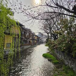 Shirakawa Canal