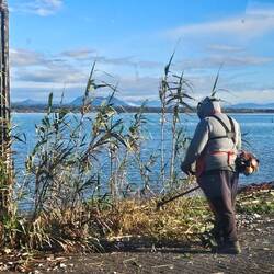 Sonntag morgen 9 Uhr vor unserer Haustüre, damit die Sicht besser wird?