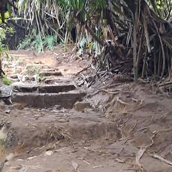 Ein sehr schöner Wanderweg