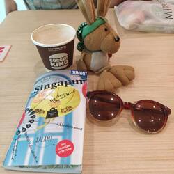 Den Reiseführer von Singapur brauchen wir erst in zwei Monaten wieder, der wird weggepackt