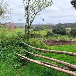 Springtime in Galicia - beautiful!