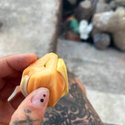 jackfruit 🔝🔝