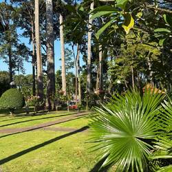 Im Stadtpark