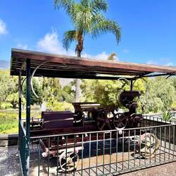 Zuckerrohrschneider im Park Santa Catarina