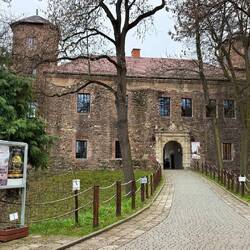 Burg Toszek, ursprünglich aus den 14. Jahrhundert.