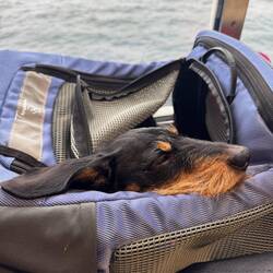 So sieht entspanntes Reisen aus ☺️