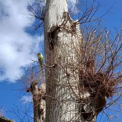 Wo isch äch dä usbüchst?