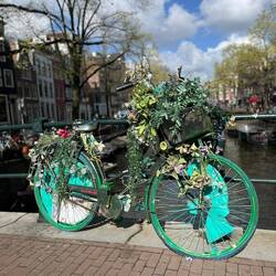 Und überall hets Bluemevelo 😄