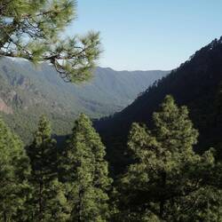 Blick ins Nachbartal, welches wir raufgefahren sind