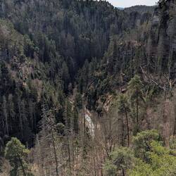 Polenztal, da unten geht's weiter