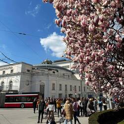 Nochmal Makartplatz, hier mit Landestheater (und Magnolien)