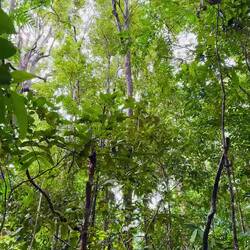 Wer findet den Vogel?