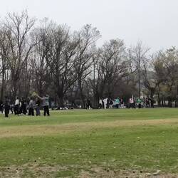 En el parque varios grupos de personas practican Yokasai