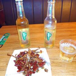 2 snow beer & spicy ducks tongues