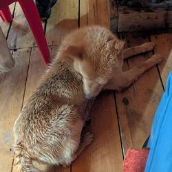 Unser neuer Freund wärmt sich auf