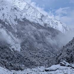 ...es ist auch immer wieder aufgerissen