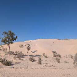 Dünen bei Sabria 🐪☀️🏝️