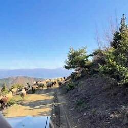 Grams District - Kushove