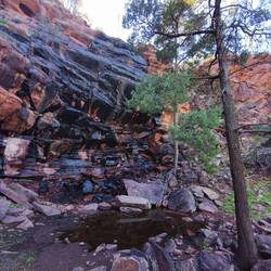 Ferntree Wasserfall