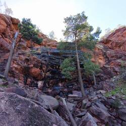 Ferntree Wasserfall