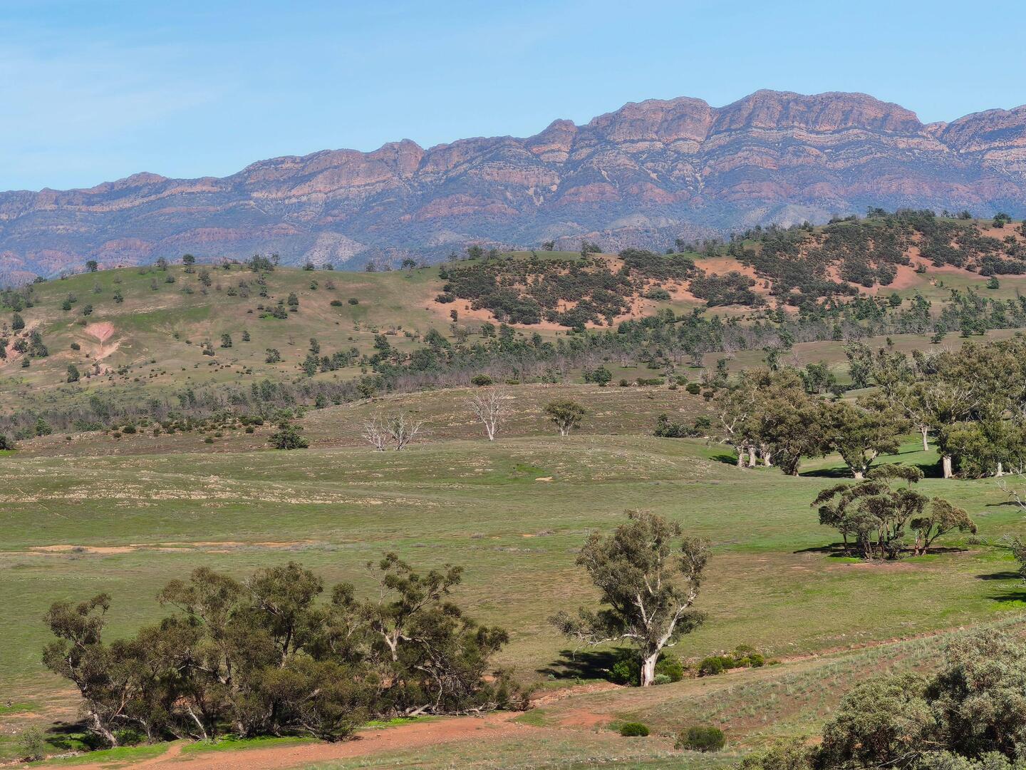 Rawnsley Bluff, 943m hoch